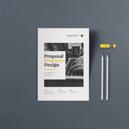 Professional Business Proposals – Custom Layout & Branding