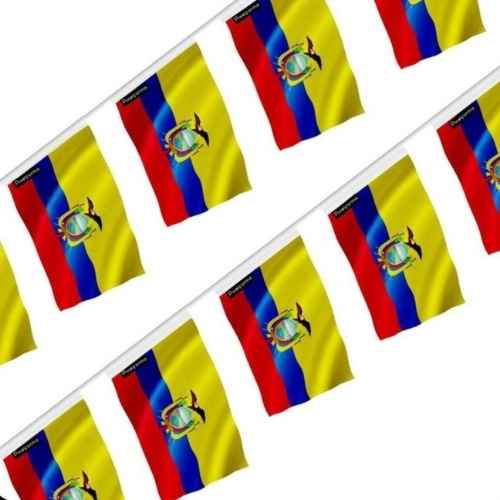 Festival Flags – Custom Printed Flags for Celebrations & Events - Image 3