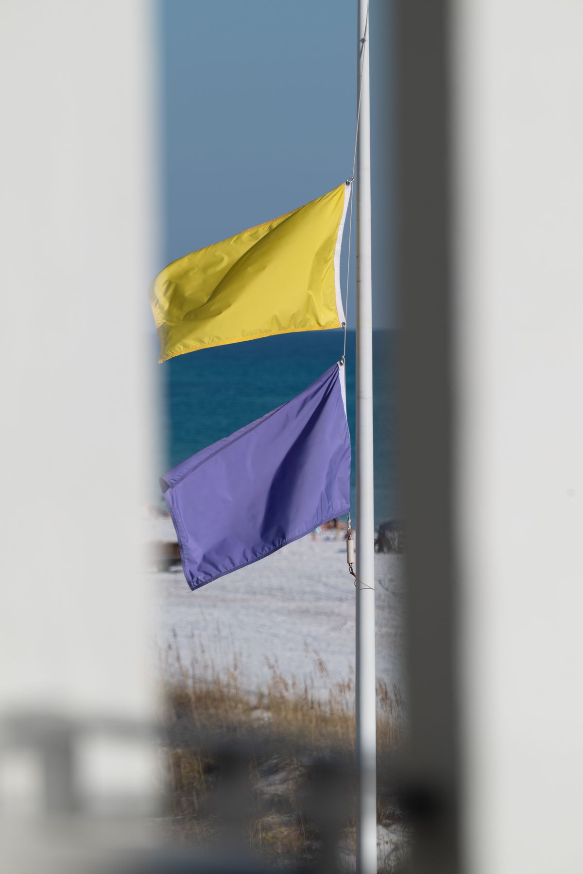 Sail Flags – Feather-Style Outdoor Advertising Flags